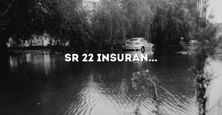 Sr 22 Insurance Georgia: Everything You Need to Know